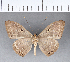  ( - CFC04220)  @11 [ ] Copyright (2018) Christer Fahraeus Center For Collection-Based Research