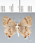  ( - CFC42269)  @11 [ ] copyright (2022) Center For Collection-Based Research Center For Collection-Based Research