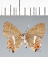  ( - CFC42281)  @11 [ ] copyright (2022) Center For Collection-Based Research Center For Collection-Based Research