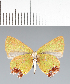  ( - CFC42377)  @11 [ ] copyright (2022) Center For Collection-Based Research Center For Collection-Based Research