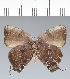  ( - CFC42547)  @11 [ ] copyright (2022) Center For Collection-Based Research Center For Collection-Based Research