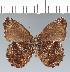  ( - CFC42569)  @11 [ ] copyright (2022) Center For Collection-Based Research Center For Collection-Based Research