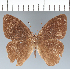 ( - CFC42725)  @11 [ ] copyright (2022) Center For Collection-Based Research Center For Collection-Based Research