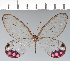  ( - CFC42734)  @11 [ ] copyright (2022) Center For Collection-Based Research Center For Collection-Based Research