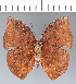  ( - CFC42758)  @11 [ ] copyright (2022) Center For Collection-Based Research Center For Collection-Based Research