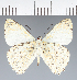  ( - CFC42898)  @11 [ ] copyright (2023) Center For Collection-Based Research Center For Collection-Based Research