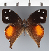 ( - CFC42910)  @11 [ ] copyright (2023) Center For Collection-Based Research Center For Collection-Based Research