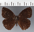  ( - CFC42914)  @11 [ ] copyright (2023) Center For Collection-Based Research Center For Collection-Based Research
