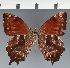  ( - CFC42952)  @11 [ ] copyright (2023) Center For Collection-Based Research Center For Collection-Based Research