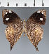  ( - CFC42964)  @11 [ ] copyright (2023) Center For Collection-Based Research Center For Collection-Based Research