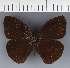  ( - CFC42966)  @11 [ ] copyright (2023) Center For Collection-Based Research Center For Collection-Based Research
