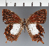  ( - CFC43005)  @11 [ ] copyright (2023) Center For Collection-Based Research Center For Collection-Based Research