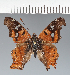  ( - CFC43009)  @11 [ ] copyright (2023) Center For Collection-Based Research Center For Collection-Based Research