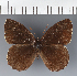  ( - CFC43018)  @11 [ ] copyright (2023) Center For Collection-Based Research Center For Collection-Based Research