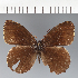  ( - CFC43080)  @11 [ ] copyright (2023) Center For Collection-Based Research Center For Collection-Based Research