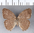  ( - CFC04309)  @11 [ ] Copyright (2018) Christer Fahraeus Center For Collection-Based Research