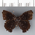  ( - CFC43092)  @11 [ ] copyright (2023) Center For Collection-Based Research Center For Collection-Based Research