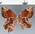  ( - CFC43111)  @11 [ ] copyright (2023) Center For Collection-Based Research Center For Collection-Based Research