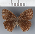  ( - CFC43167)  @11 [ ] copyright (2023) Center For Collection-Based Research Center For Collection-Based Research
