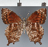  ( - CFC43188)  @11 [ ] copyright (2023) Center For Collection-Based Research Center For Collection-Based Research
