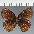  ( - CFC43221)  @11 [ ] copyright (2023) Center For Collection-Based Research Center For Collection-Based Research