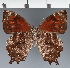  ( - CFC43246)  @11 [ ] copyright (2023) Center For Collection-Based Research Center For Collection-Based Research