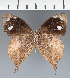  ( - CFC43254)  @11 [ ] copyright (2023) Center For Collection-Based Research Center For Collection-Based Research