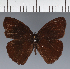  ( - CFC43279)  @11 [ ] copyright (2023) Center For Collection-Based Research Center For Collection-Based Research