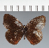  ( - CFC43292)  @11 [ ] copyright (2023) Center For Collection-Based Research Center For Collection-Based Research