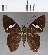  ( - CFC04332)  @11 [ ] Copyright (2018) Christer Fahraeus Center For Collection-Based Research