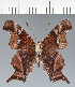  ( - CFC43330)  @11 [ ] copyright (2023) Center For Collection-Based Research Center For Collection-Based Research