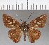  ( - CFC04337)  @11 [ ] Copyright (2018) Christer Fahraeus Center For Collection-Based Research