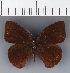  ( - CFC43628)  @11 [ ] copyright (2023) Center For Collection-Based Research Center For Collection-Based Research