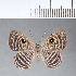  ( - CFC04366)  @11 [ ] Copyright (2018) Christer Fahraeus Center For Collection-Based Research