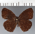  ( - CFC43797)  @11 [ ] copyright (2023) Center For Collection-Based Research Center For Collection-Based Research