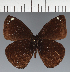  ( - CFC43801)  @11 [ ] copyright (2023) Center For Collection-Based Research Center For Collection-Based Research
