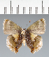  ( - CFC43819)  @11 [ ] copyright (2023) Center For Collection-Based Research Center For Collection-Based Research