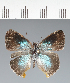  ( - CFC43827)  @11 [ ] copyright (2023) Center For Collection-Based Research Center For Collection-Based Research