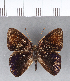  ( - CFC04420)  @11 [ ] Copyright (2018) Christer Fahraeus Center For Collection-Based Research
