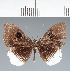 ( - CFC04448)  @11 [ ] copyright (2022) Center For Collection-Based Research Center For Collection-Based Research
