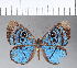  ( - CFC04453)  @11 [ ] Copyright (2018) Christer Fahraeus Center For Collection-Based Research