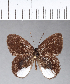  ( - CFC04460)  @11 [ ] Copyright (2018) Christer Fahraeus Center For Collection-Based Research
