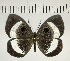  ( - CFC04489)  @11 [ ] Copyright (2018) Christer Fahraeus Center For Collection-Based Research