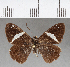  ( - CFC04538)  @11 [ ] Copyright (2018) Christer Fahraeus Center For Collection-Based Research