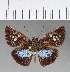  ( - CFC04548)  @11 [ ] Copyright (2018) Christer Fahraeus Center For Collection-Based Research
