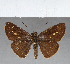  ( - CFC04584_2)  @11 [ ] Copyright (2019) Christer Fahraeus Center For Collection-Based Research
