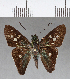  ( - CFC04589)  @13 [ ] Copyright (2018) Christer Fahraeus Center For Collection-Based Research