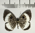  ( - CFC04597)  @11 [ ] Copyright (2018) Christer Fahraeus Center For Collection-Based Research