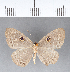  ( - CFC04600)  @11 [ ] Copyright (2018) Christer Fahraeus Center For Collection-Based Research