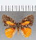  ( - CFC04709)  @11 [ ] Copyright (2019) Christer Fahraeus Center For Collection-Based Research